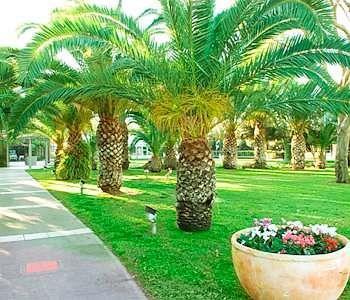 Kibbutz Отель 3*