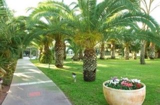 Kibbutz Шфаим
